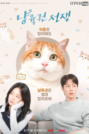 Cuộc Chiến Dành Quyền Nuôi Mèo